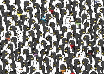 Ilustração com muitos pinguins pretos e brancos e bonecos de neve escondidos entre eles.