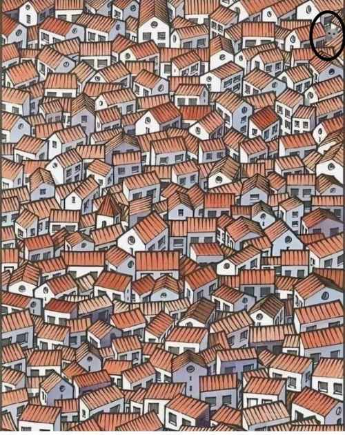 Desenho colorido com muitas casas pequenas com telhados vermelhos em estilo artístico detalhado.