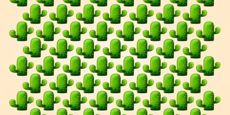 Teste visual com vários cactos verdes organizados em padrão sobre fundo bege claro.