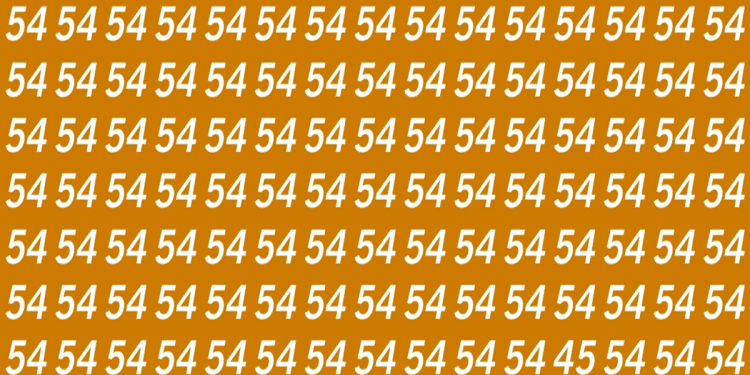 padrão de números 54 em fundo laranja vibrante.