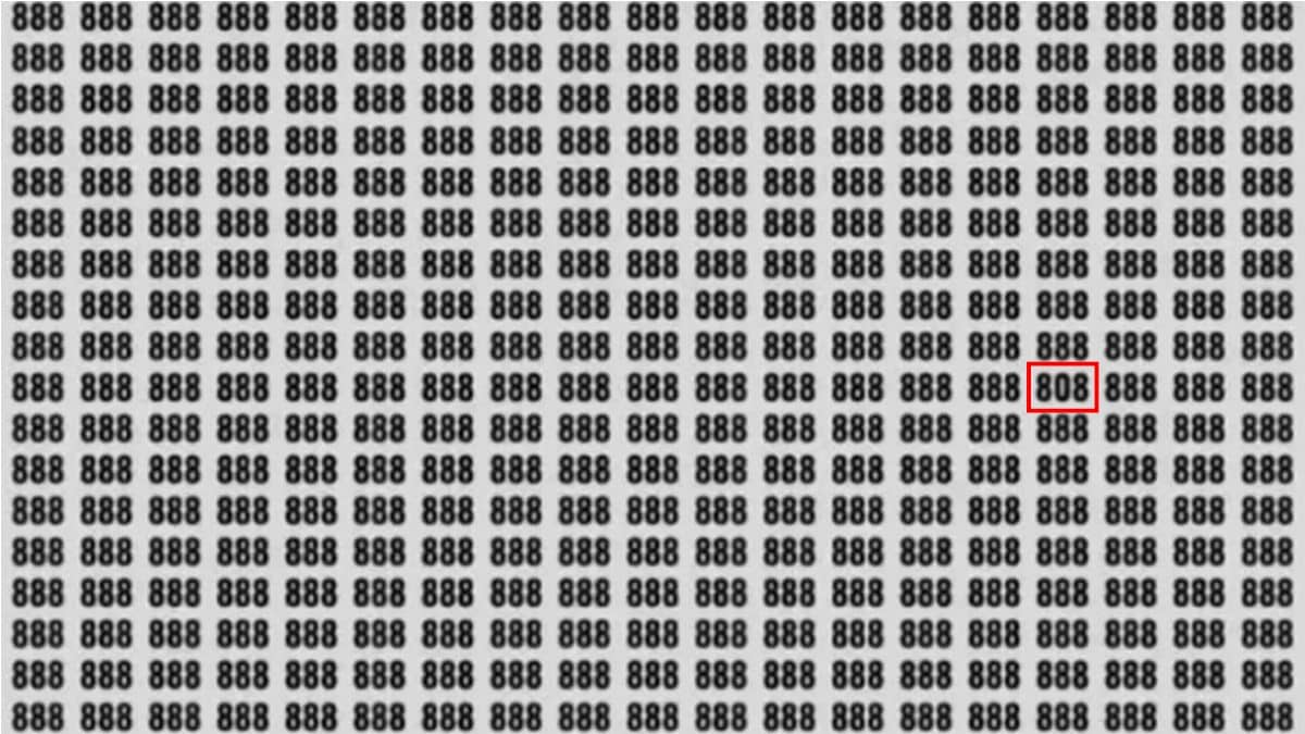 Série de números 888 em preto com número 808 destacado em caixa vermelha no meio.