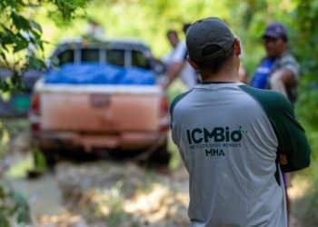 Servidor do ICMBio em atividade de campo durante ações ambientais.