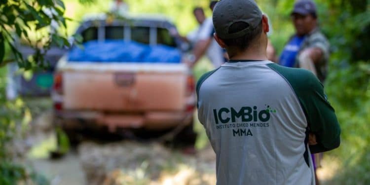 Servidor do ICMBio em atividade de campo durante ações ambientais.