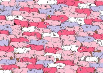 Desafio visual com elefantes rosas, lilás e brancos empilhados, e um coração escondido entre eles