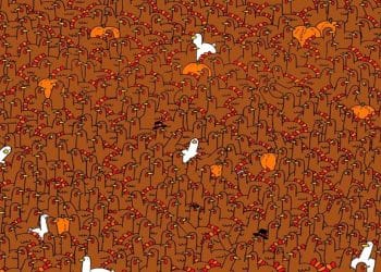 Ilustração com várias galinhas marrons, algumas abóboras e poucos galos brancos espalhados na imagem.