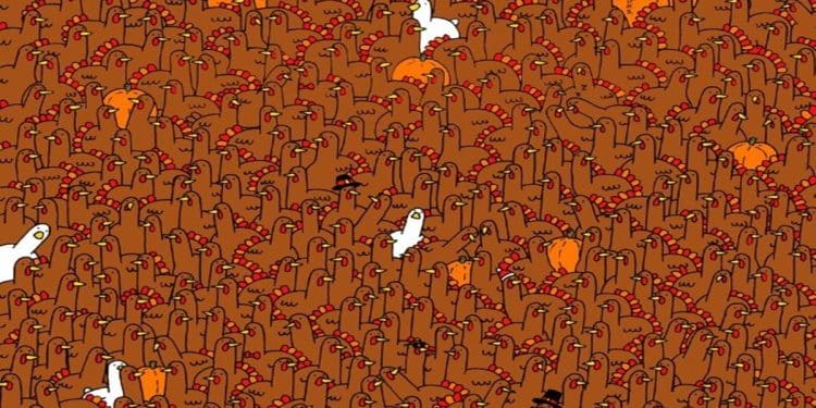 Ilustração com várias galinhas marrons, algumas abóboras e poucos galos brancos espalhados na imagem.