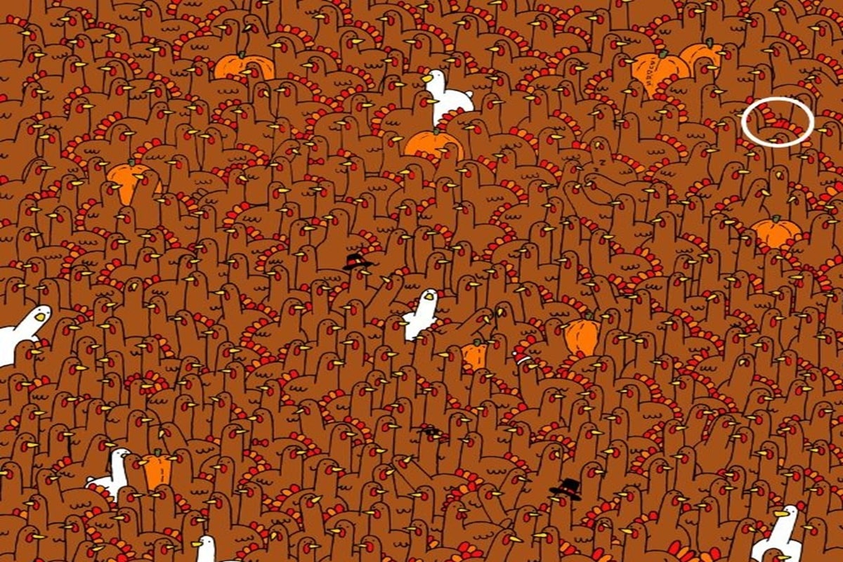 Ilustração com várias galinhas marrons, algumas abóboras e poucos galos brancos espalhados na imagem.