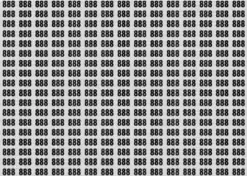 Série de números 888 em preto com número 808 destacado em caixa vermelha no meio.