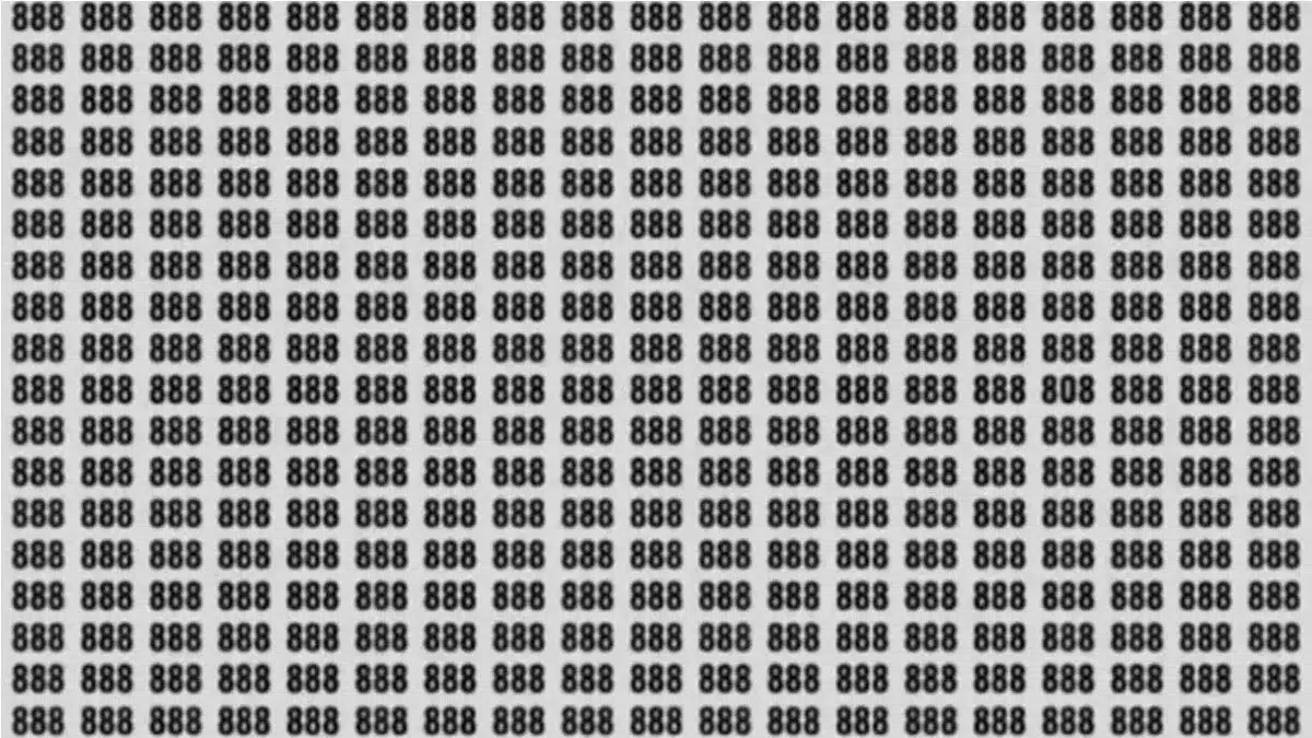 numero Série de números 888 em preto com número 808 destacado em caixa vermelha no meio.