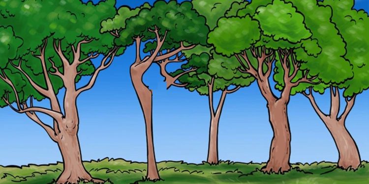 Teste visual com uma ilustração colorida de cinco árvores com copas verdes em campo gramado sob céu azul