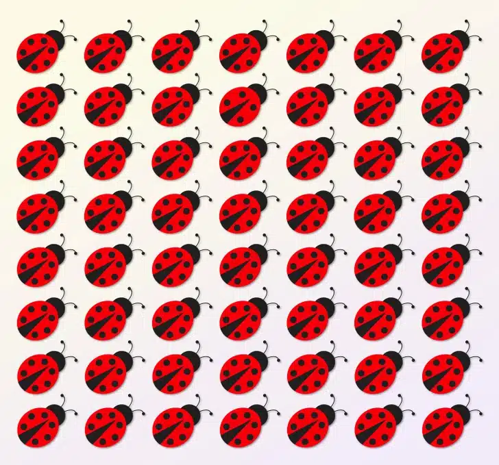 Teste visual com várias joaninhas-vermelhas com pontos pretos