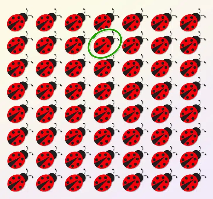 Teste visual com várias joaninhas-vermelhas com pontos pretos