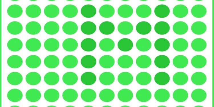 Teste visual com círculos verdes organizadas em linhas sobre fundo branco com borda verde arredondada