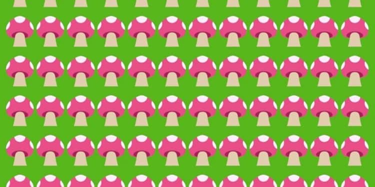 Teste visual com diversos cogumelos rosas, pontilhados de branco, sobre um fundo verde.