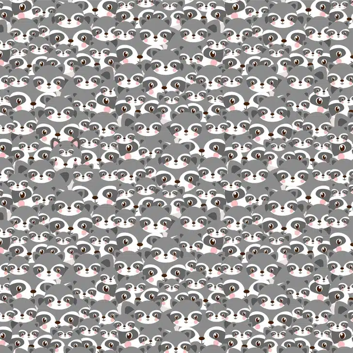 Teste visual com diversos guaxinins cinzas desenhados com olhos grandes