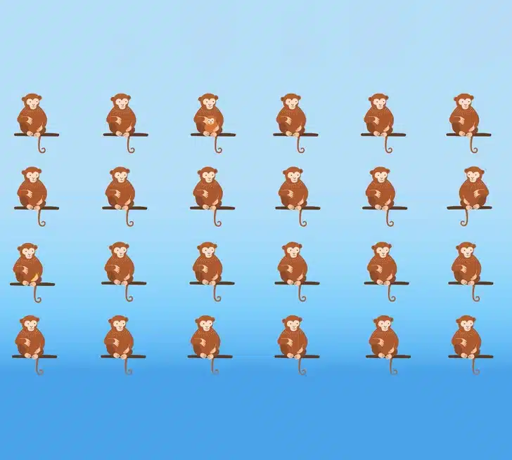 Teste visual com vários macacos sentados em galhos.