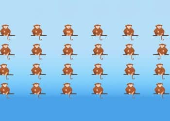 Teste visual com vários macacos sentados em galhos.