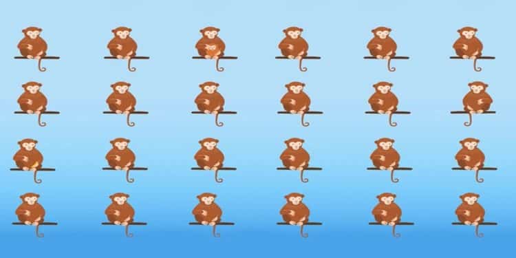 Teste visual com vários macacos sentados em galhos.