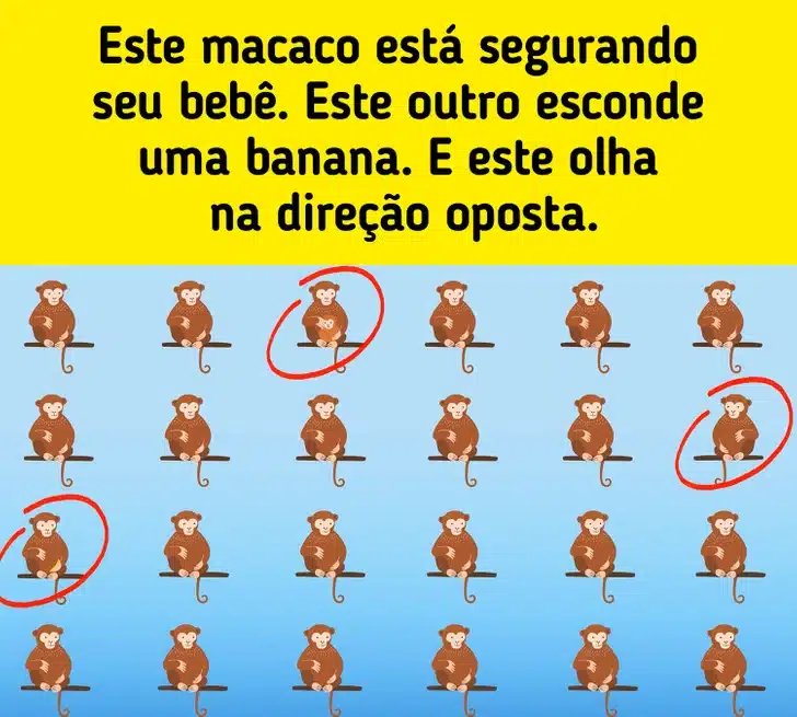 Teste visual com vários macacos sentados em galhos.