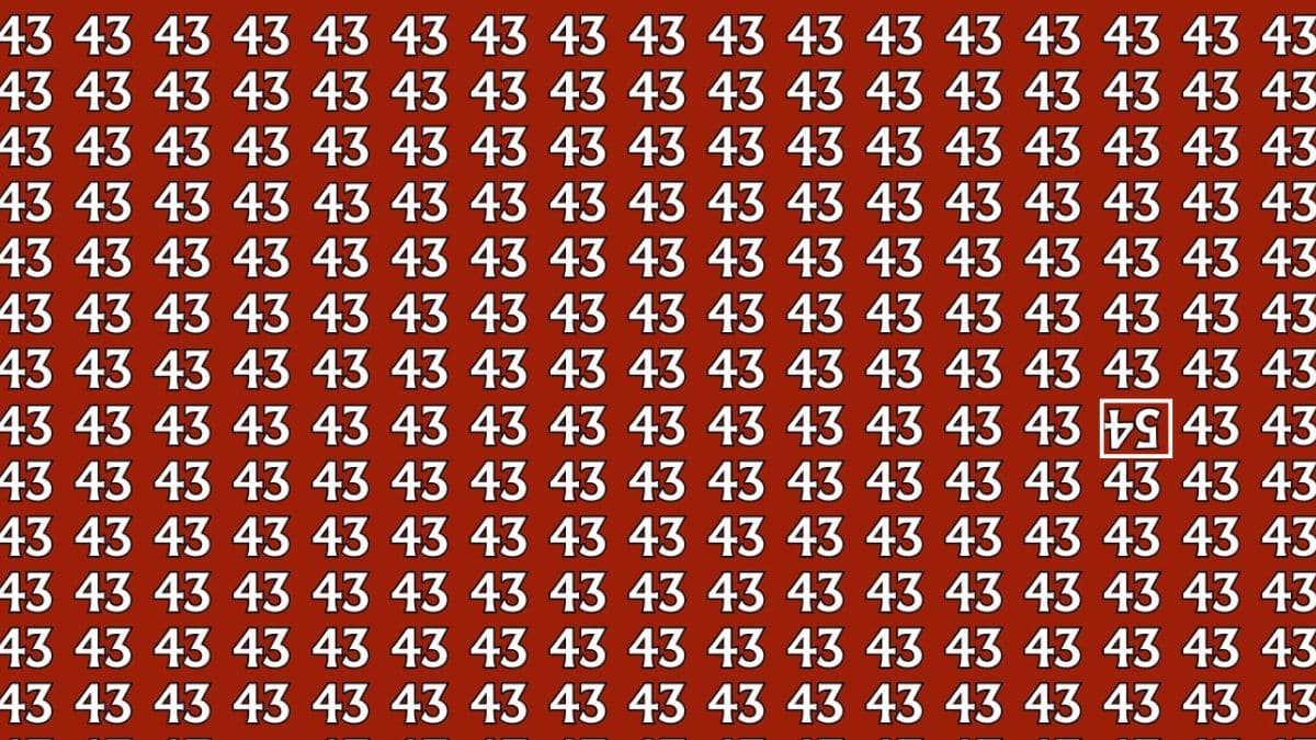 Padrão repetido do número 43 em fundo vermelho com número 54 invertido e destacado.