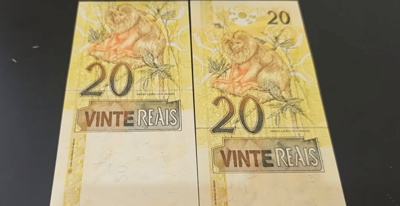 Duas cédulas de vinte reais (R$ 20) mostradas em comparação, para destacar os números de série e as características da faixa holográfica, essenciais para identificar erros de impressão que definem a raridade da nota.