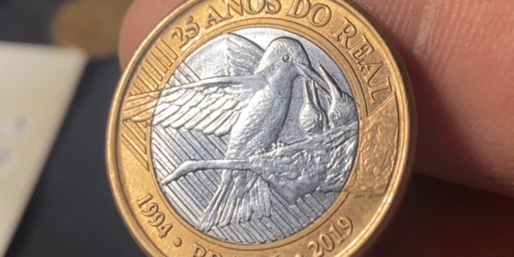 Moeda bimetálica de 1 real de 2019 sendo segurada pelos dedos, mostrando o reverso com a gravação de um beija-flor no ninho e a inscrição "25 Anos do Real".