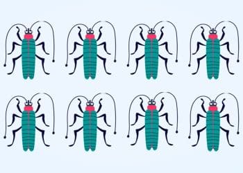 Desafio visual com oito insetos verdes com cabeça vermelha e antenas em fundo claro, organizados em duas fileiras