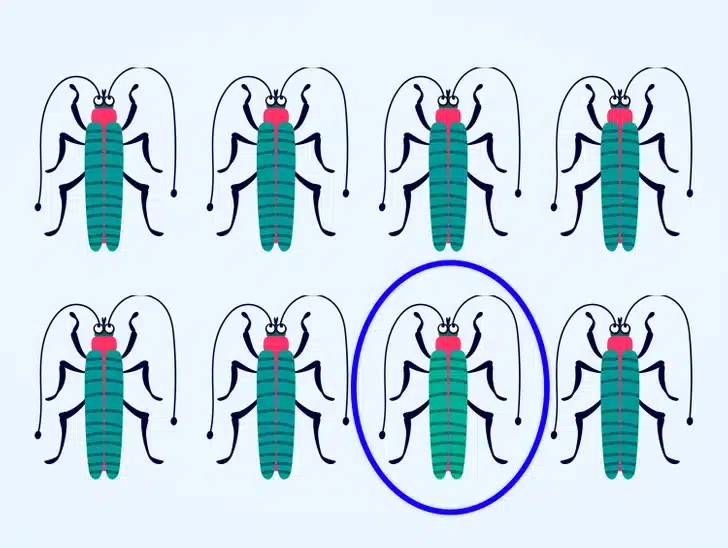 Ache o inseto diferente camuflado entre vários insetos em um fundo claro Desafio visual com oito insetos verdes com cabeça vermelha e antenas em fundo claro, organizados em duas fileiras