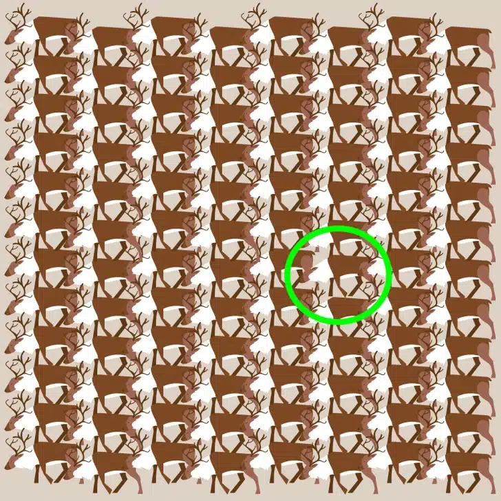 Ache o cervo sem chifres entre vários cervos entrelaçados em tons marrons Desafio visual com um padrão repetitivo de cervos marrons, exibindo galhadas entrelaçadas sobre um fundo bege.