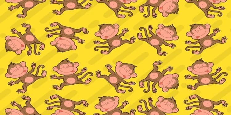 Desafio visual com uma ilustração com vários macacos em diferentes poses sobre fundo amarelo