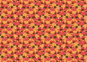 Desafio visual com fundo colorido, repleto de folhas vermelhas, amarelas e verdes, e um pássaro escondido