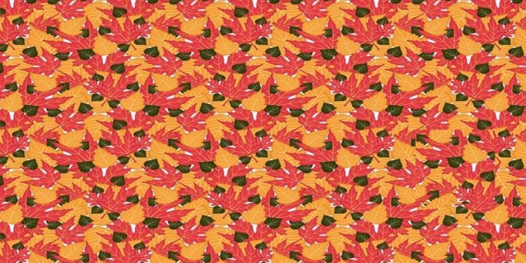 Desafio visual com fundo colorido, repleto de folhas vermelhas, amarelas e verdes, e um pássaro escondido