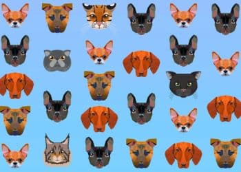 Desafio visual com vários rostos geométricos estilizados de gatos e cães coloridos sobre fundo azul