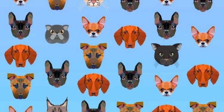 Desafio visual com vários rostos geométricos estilizados de gatos e cães coloridos sobre fundo azul