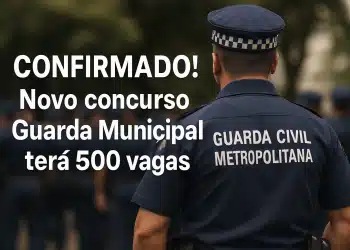 novo concusursp