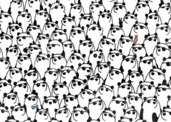 Ilustração em preto e branco de muitos pandas usando óculos escuros, com um panda diferente usando gravata vermelha.