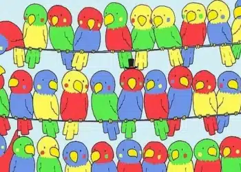 Papagaios desenhados em cores vermelho, verde, azul e amarelo sentados em três linhas de cabos.