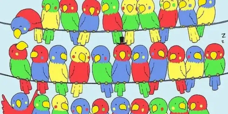 Papagaios desenhados em cores vermelho, verde, azul e amarelo sentados em três linhas de cabos.