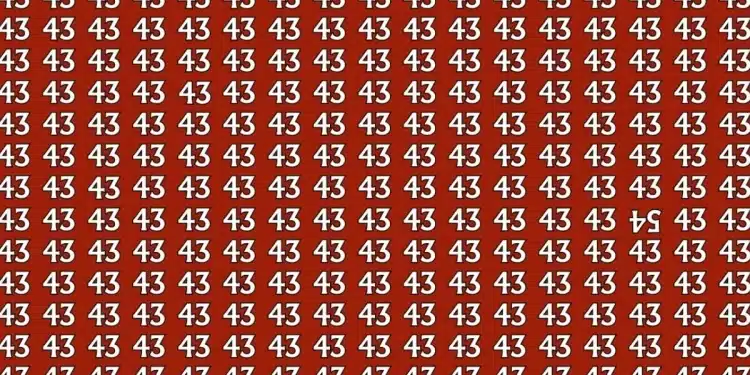 Imagem de desafio visual com número 54 escondido.