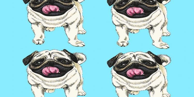 Teste visual com quatro ilustrações de cachorros da raça PUG com língua de fora em fundo azul