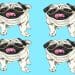 Teste visual com quatro ilustrações de cachorros da raça PUG com língua de fora em fundo azul