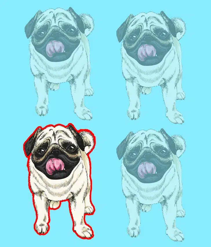 Ache o cachorro diferente nesta ilustração de cachorros Pug em fundo azul Teste visual com quatro ilustrações de cachorros da raça PUG com língua de fora em fundo azul