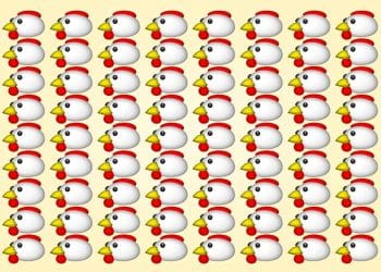 Teste visual com um padrão repetido de desenhos de cabeças de galinhas brancas em fundo amarelo.