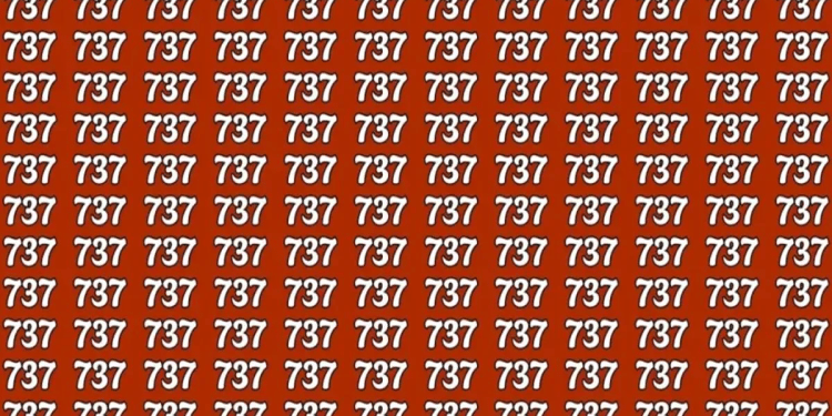 Imagem com diversos números 737 repetidos e um número diferente escondido.