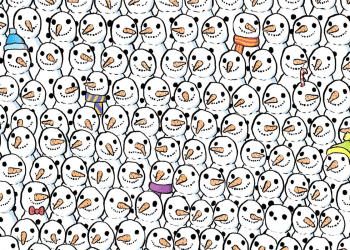 Desenho com muitos bonecos de neve e um panda escondido entre eles.