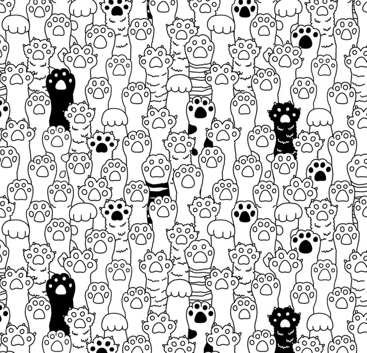 Desafio visual com uma ilustração em preto e branco com muitas patas e braços de gatos, algumas com pelagem preta