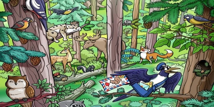 Desafio visual com uma ilustração colorida de vários animais da floresta em meio a árvores com pinhas, incluindo pássaros, raposa, guaxinim e coruja.