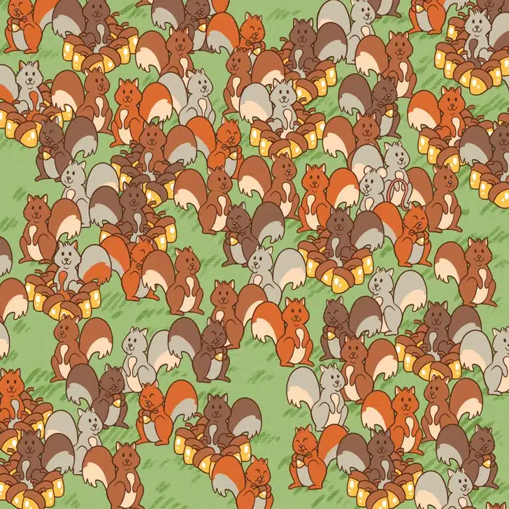 Desafio visual com um desenho colorido de vários esquilos em diferentes tons