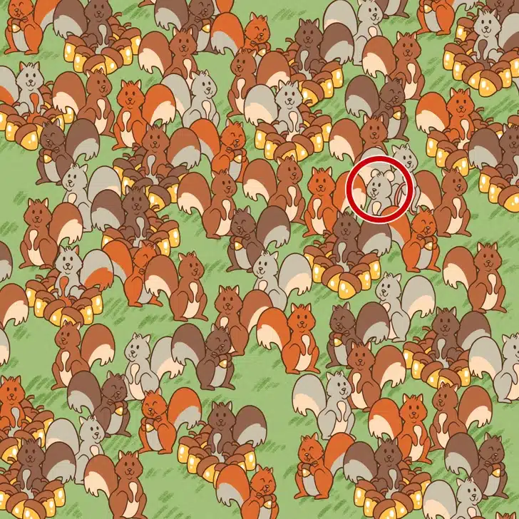 Desafio visual com um desenho colorido de vários esquilos em diferentes tons