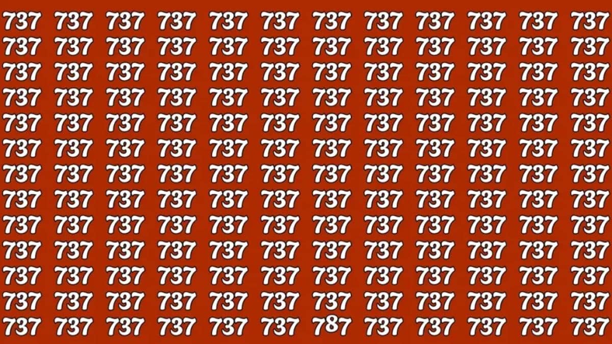 Imagem com diversos números 737 repetidos e um número diferente escondido.